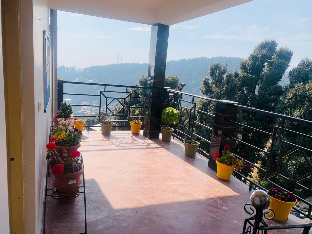 Oasis Guest House Bhagsu D'Shala Dharamshala Exterior photo