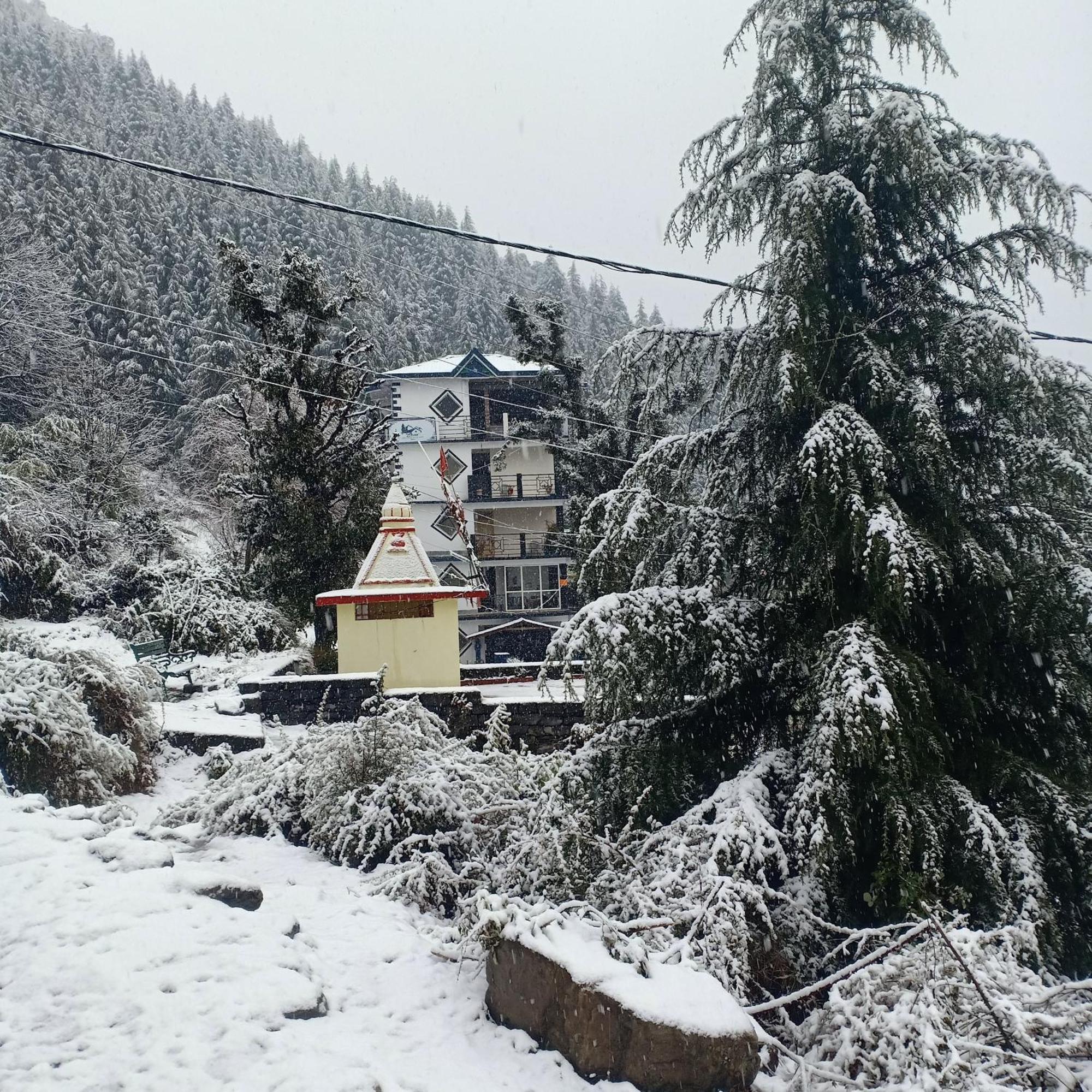 Oasis Guest House Bhagsu D'Shala Dharamshala Exterior photo
