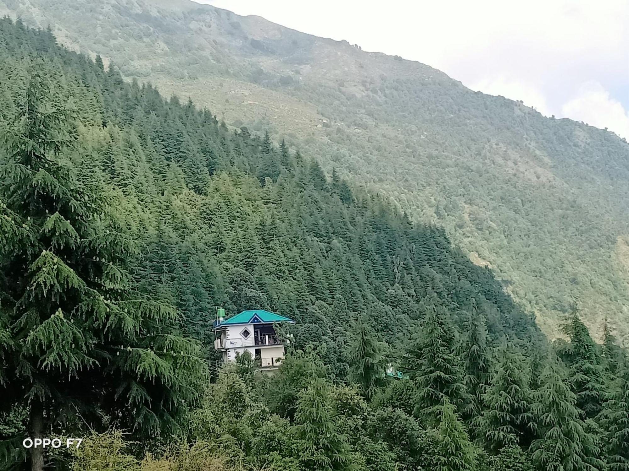Oasis Guest House Bhagsu D'Shala Dharamshala Exterior photo